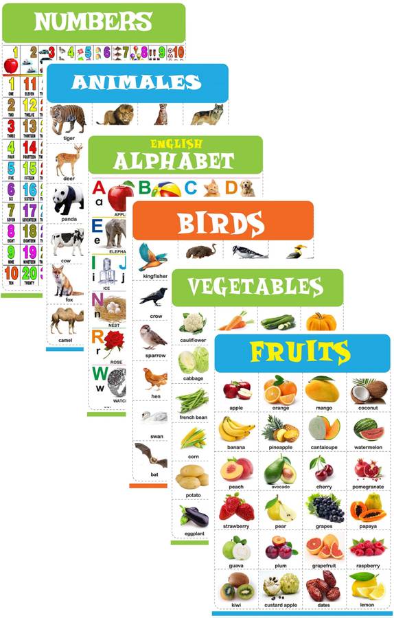 SA English Chart for Kids 47x65 cm Mega Size Charts -Early Learning Picture Chart