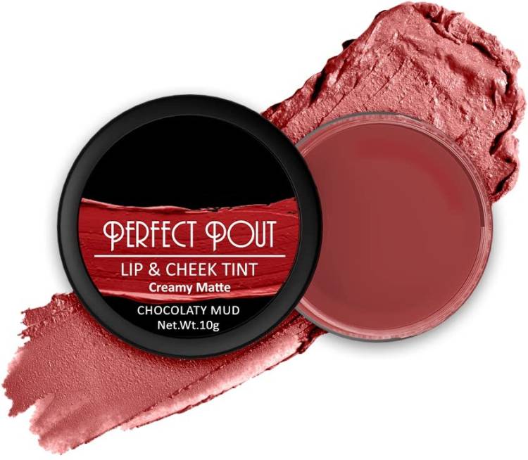ADJD Perfect Pout Lip and Cheek Tint Creamy Matte Finish CHOCOLATEY MUED Lip Stain Price in India