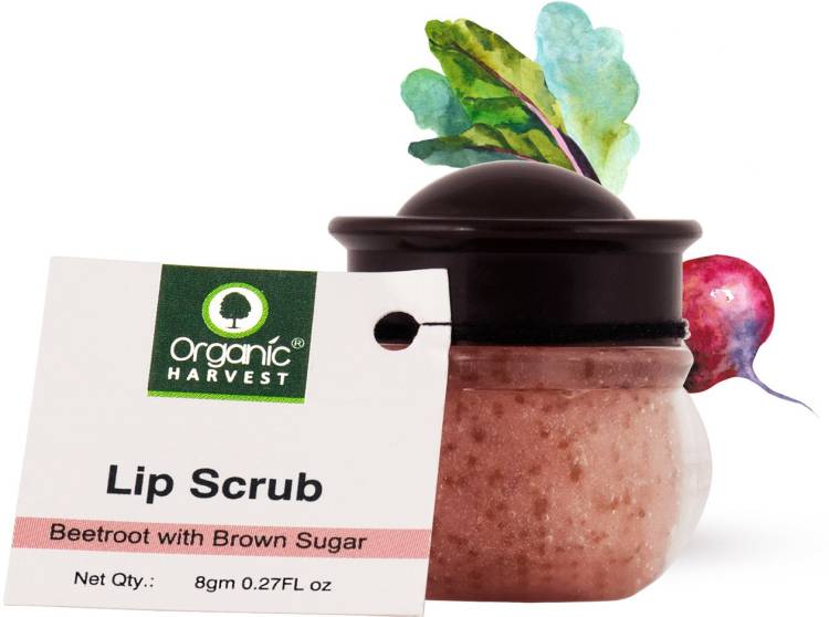 Organic Harvest Lip Scrub with Beetroot Extract, Suitable for Dry & Chapped Lips Beetroot Price in India