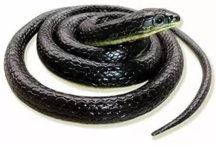 RSA enterprises Toys & Gifts Rubber Snakes Prank Toy