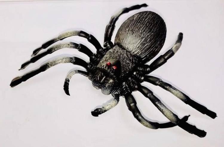 Tik C SPIDER TOY FOR KIDS