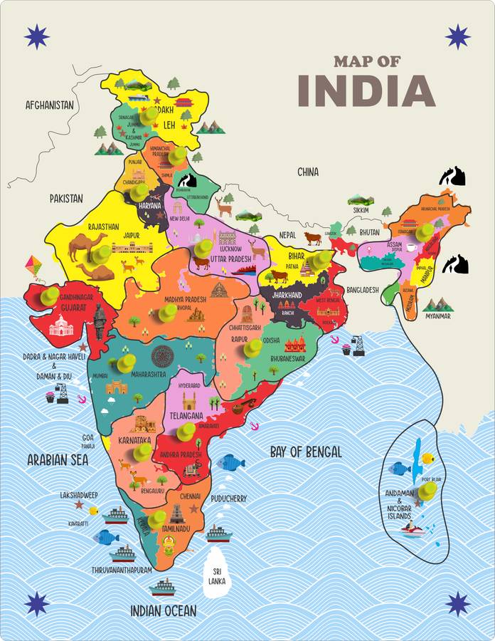 MECDOIT INTERNATIONAL Wooden Puzzle of India Map with State and Their Capital Name for Kids Education