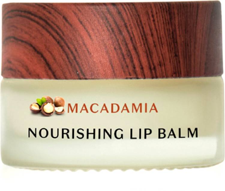 PureSense Macadamia Nourishing Lip Balm for Soft Mosturised & Glossy Lips Macadamia Nut Price in India