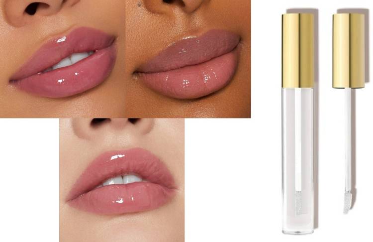 BLUEMERMAID PROFESSIONAL LIP GLOSS FOR LIP MAKEUP PREPARATIONS Price in India