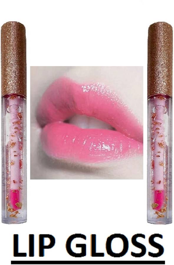 PRILORA EASY TO CARY NEW PINK LIP GLOSS GLOSSY LOOK PACK OF 2 Price in India