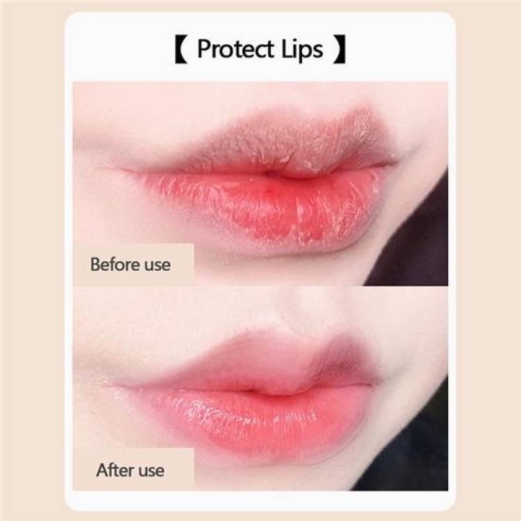MYEONG Lip balm Lipstick Lip Stain Price in India
