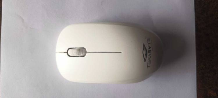 Terabite HAMSTER TB-WM-911 Wireless Optical Mouse