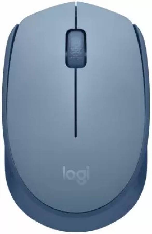 RAJPUT M171 Wireless Optical Mouse