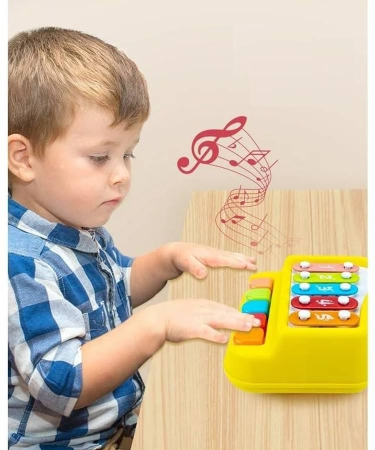 Toyporium Small 2 in 1 Musical Xylophone & Piano Toy for Kids with 5 Multicolored Keys 34