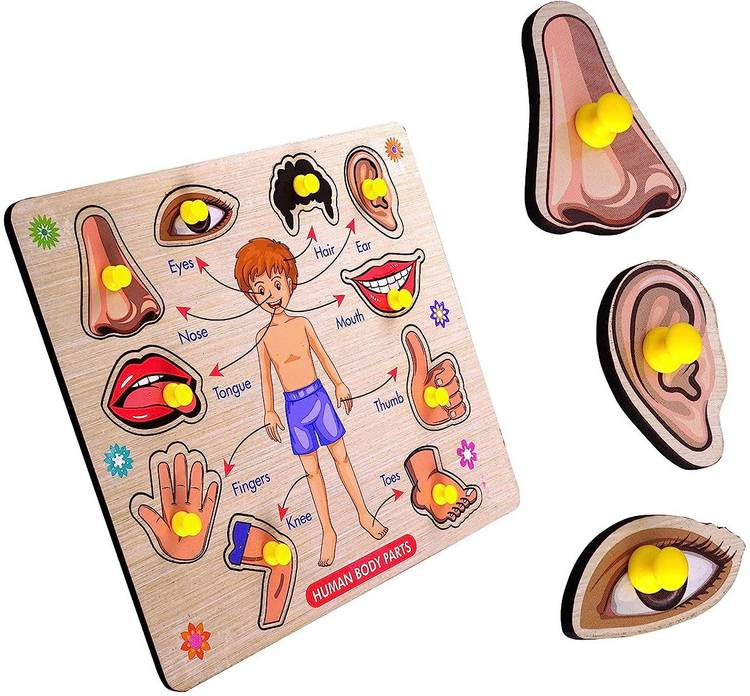 SHALAFI Wooden Human Body Parts Puzzle with Knobs, Montessori Educational Learning Toys