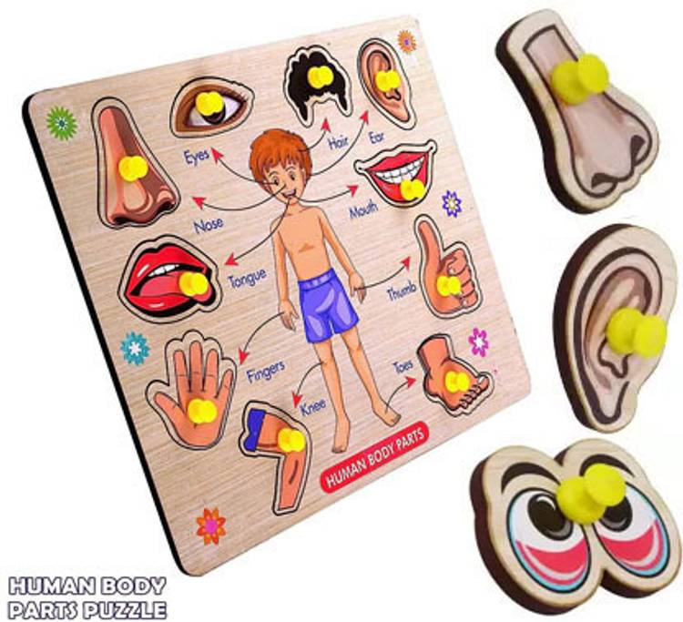 Plus Shine Body Parts Wooden Puzzle for Kids-Human Body Brain Development Puzzle Board Game