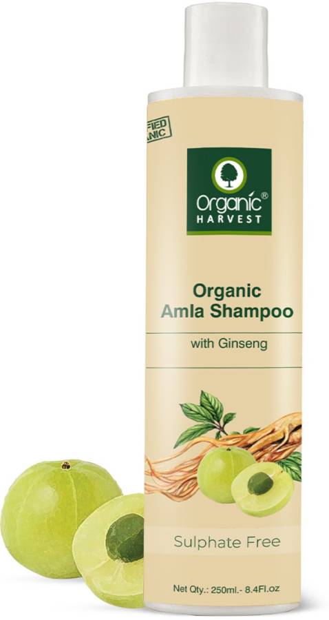 Organic Harvest Amla Shampoo with Ginseng for Premature Hair Greying, 100% Organic, Paraben Free Price in India