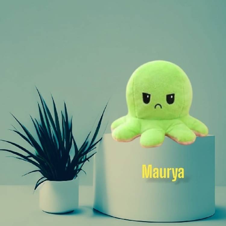 MAURYA Premium Quality Super Soft Reversible Mini Octopus multi color  - 13 cm