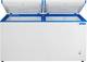 Blue Star 483 L Double Door Standard Deep Freezer 1