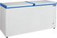 Blue Star 400 L Double Door Standard Deep Freezer 1