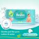 Pampers Baby Aloe Wipes with Lid 2