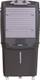 Blue Star 75 L Desert Air Cooler 1
