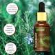 Dravida Organics Rosemary Essential Oil (Pure & Natural) For Beautiful Skin & Hair Growth Hair Oil 3