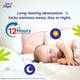 Little Angel Easy Dry Diaper Pants with 12 hrs absorption 72 Count/Pack,Pack of 2,7-12 Kgs - M 6