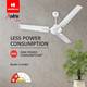 HAVELLS Andria ES with 2 Year Warranty 1200 mm Ceiling Fan 2