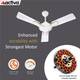 ACTIVA Corolla 36 Inch Pearl Ivory with 2 Year Warranty 900 mm Ceiling Fan 3