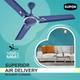 SUPER APPLIANCES SOLANA with 24 Months Warranty Energy Saving 1200 mm Ceiling Fan 4