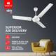 HAVELLS Andria ES with 2 Year Warranty 1200 mm Ceiling Fan 3