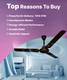 Crompton SUREBREEZE HILLBRIZ DECO with 2 Year Warranty 1200 mm Ceiling Fan 3