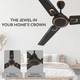 Polycab Superb Plus with 2 Year Warranty Energy Saving 1200 mm Ceiling Fan 4
