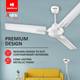 HAVELLS Andria ES with 2 Year Warranty 1200 mm Ceiling Fan 4