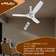 BAJAJ Arioso Luxe 1200mm White & Silver CF with 2 Year Warranty 1200 mm Ceiling Fan 2
