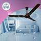 Crompton SUREBREEZE HILLBRIZ DECO with 2 Year Warranty 1200 mm Ceiling Fan 6