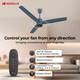 HAVELLS Fab BLDC ULED with 3 Year Warranty Underlight 1200 mm Ceiling Fan 6