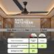 RR Josh Deco with 2 Year Warranty 1200 mm Ceiling Fan 5