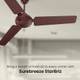 Crompton SUREBREEZE STARBRIZ with 2 Year Warranty 1200 mm Ceiling Fan 3