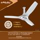BAJAJ Arioso Luxe 1200mm White & Silver CF with 2 Year Warranty 1200 mm Ceiling Fan 5