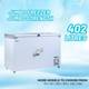 Rockwell 395 L Double Door Standard Deep Freezer 2