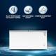 Blue Star 301 L Double Door Convertible Deep Freezer 2