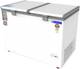 Blue Star 300 L Double Door Standard Deep Freezer 2