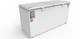 Blue Star 515 L Double Door Standard Deep Freezer 3