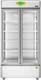 western refrigeration 908 L Double Door Glass Top Deep Freezer 1