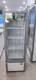 WESTERN 240 L Single Door Upright Freezer 1
