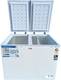 Godrej 300 L Double Door Standard Deep Freezer 3
