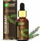 Dravida Organics Rosemary Essential Oil (Pure & Natural) For Beautiful Skin & Hair Growth Hair Oil 1