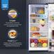 Voltas Beko by A Tata Product 183 L Direct Cool Single Door 5 Star Refrigerator 2