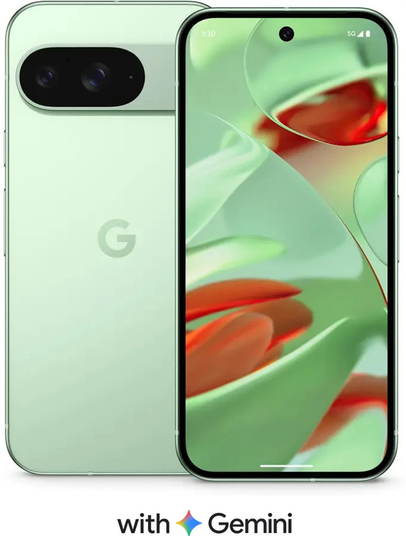 price history - Google Pixel 9 (Wintergreen, 256 GB) (12 GB RAM)