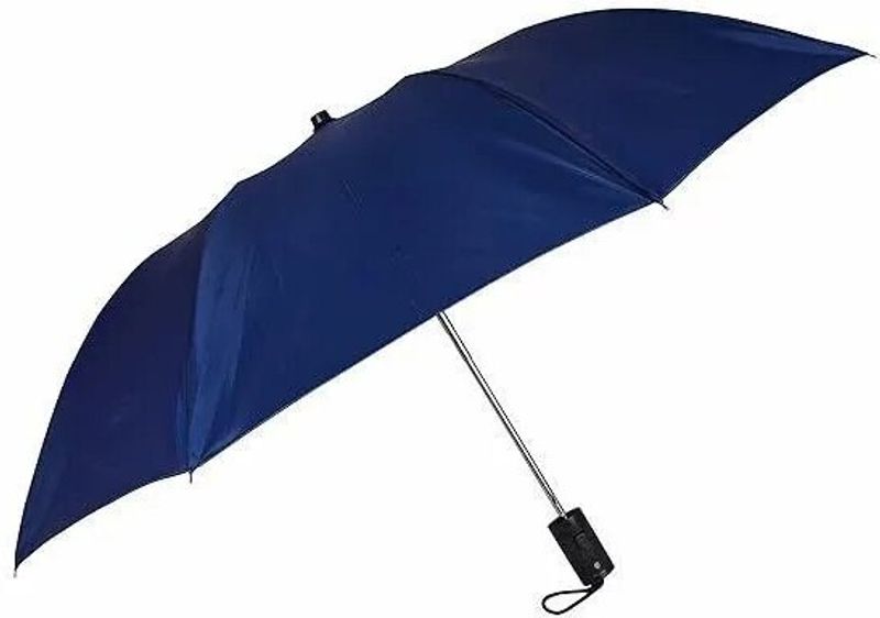 Rainora Umbrella for Men & Women, 2 Fold Auto Open, 8 Metal Ribs, Strong 1Pc Umbrella (Blue)