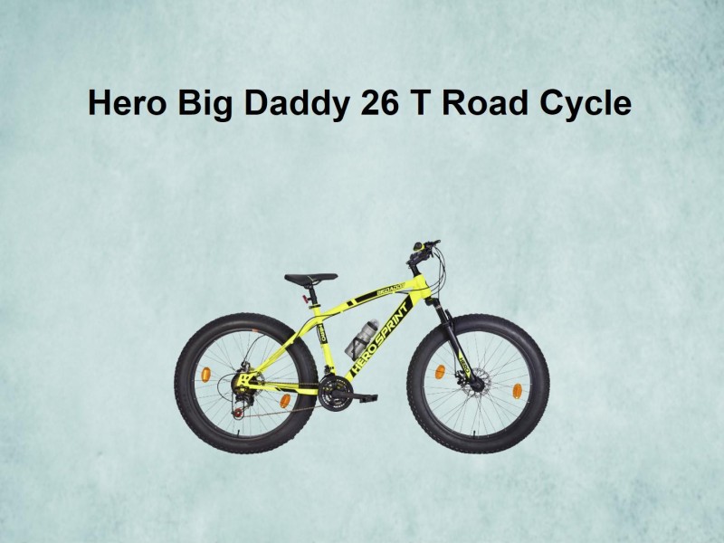 big daddy cycle price