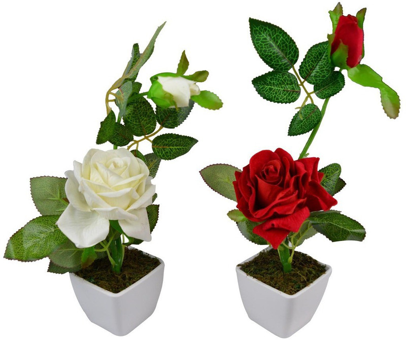 The Fancy Mart Classic White Rose Artificial Flower  with Pot(16 inch, Pack of 2) RS.349 (68.00% Off) - Flipkart