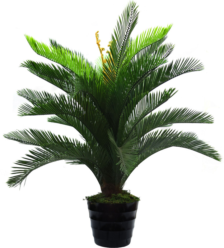 Fourwalls 3 Feet Tall Decorative Cycas Palm Floor Artificial Plant(90 cm, Green)